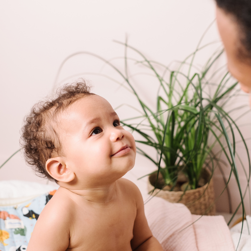 hora-camio-panal-bebe_1705b984-f671-423f-9efb-58378586bc39 - Mustela España - 1