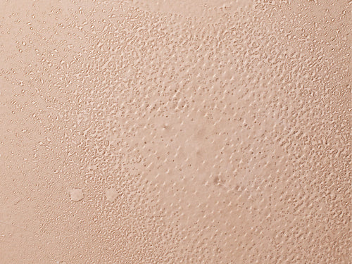 Agua para peinar refrescante - Mustela España - 2
